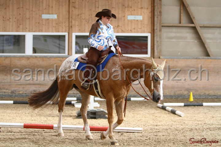 26-ApHC GT_214.jpg